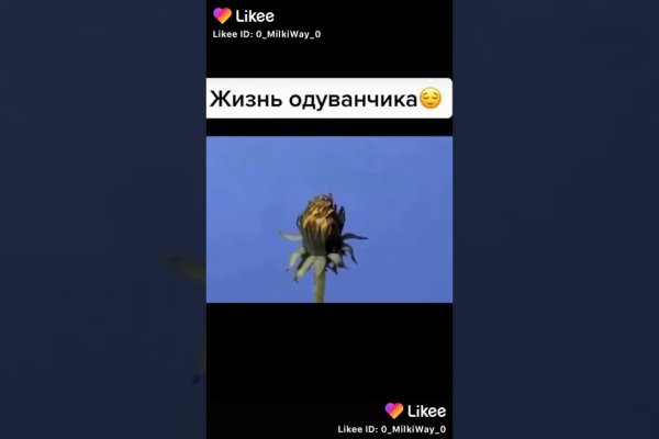 Кракен активная ссылка